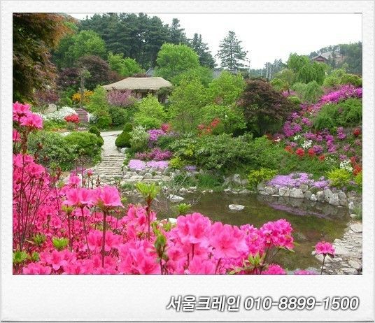 보고있으면 마음이 편한해집니다~♬