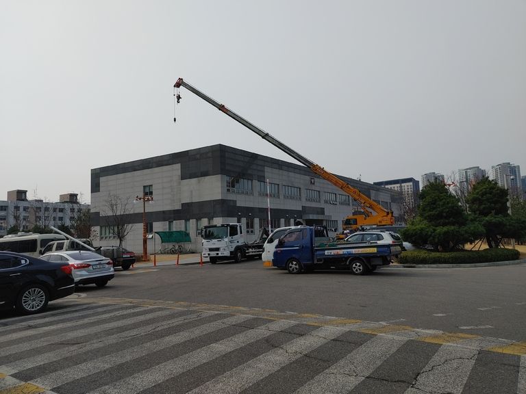 국회의사당 국회경비대 옥상흙 목고양중