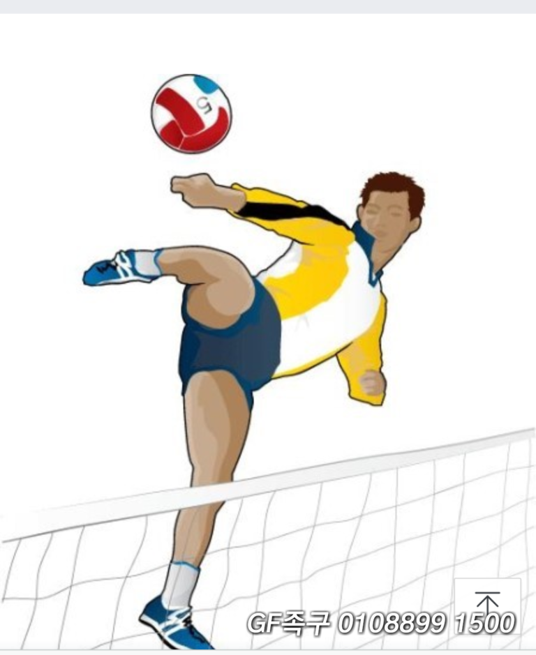 족구배우기   GF족구   남녀회원모집 010 8899 1500