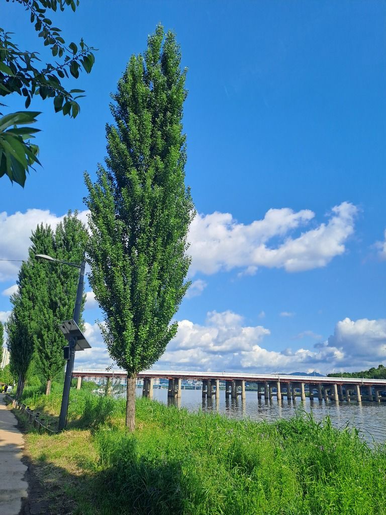 기분좋아지는 사진